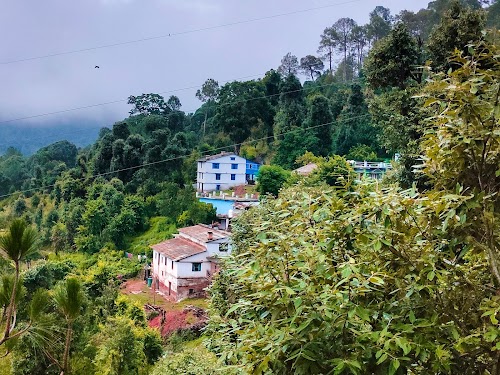 Peora - Photo 2