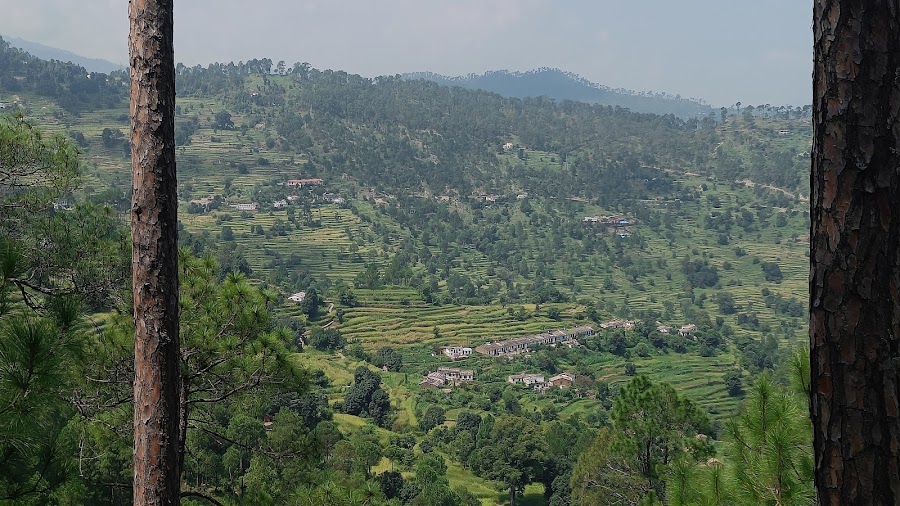 Sitla - Photo 5