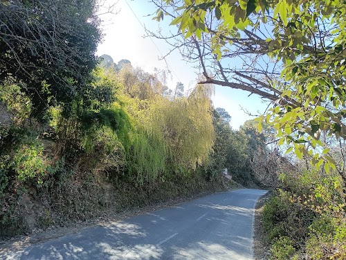 Peora - Photo 4