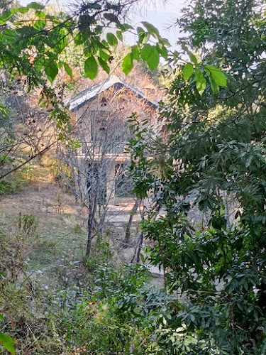 Peora - Photo 3