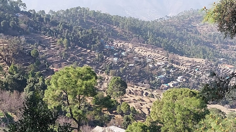 Sitla - Photo 3