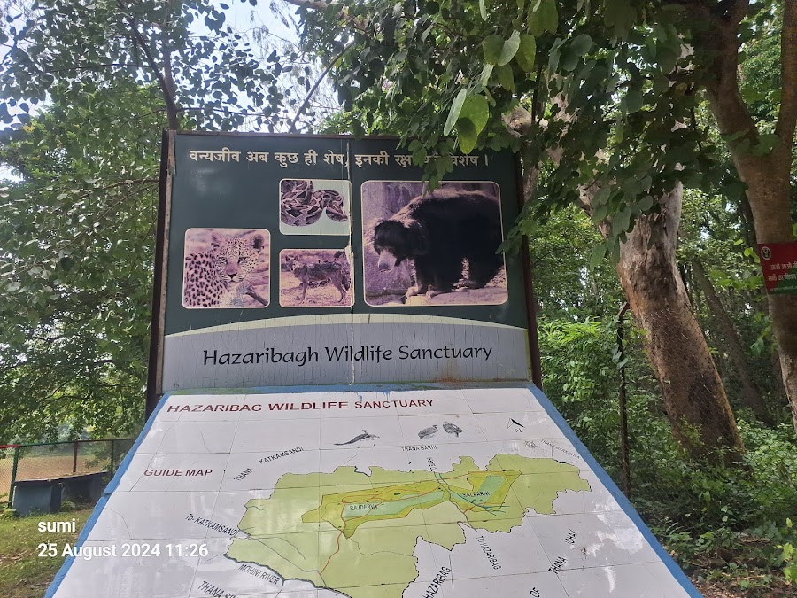 Hazaribagh National Park - Photo 4