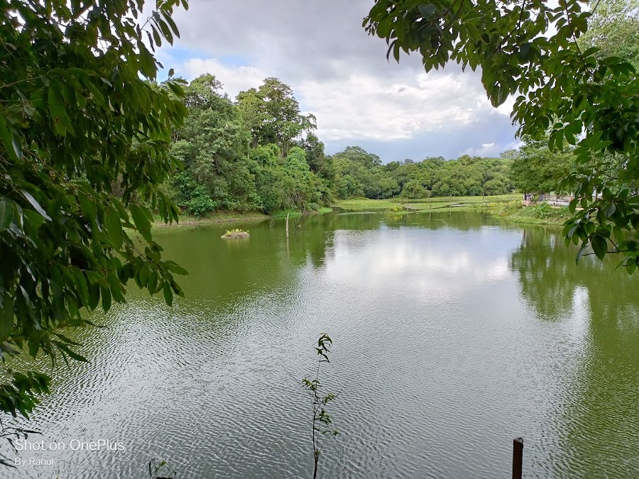 Hazaribagh National Park - Photo 2