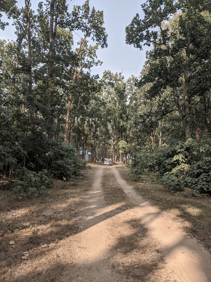 Hazaribagh National Park - Photo 3