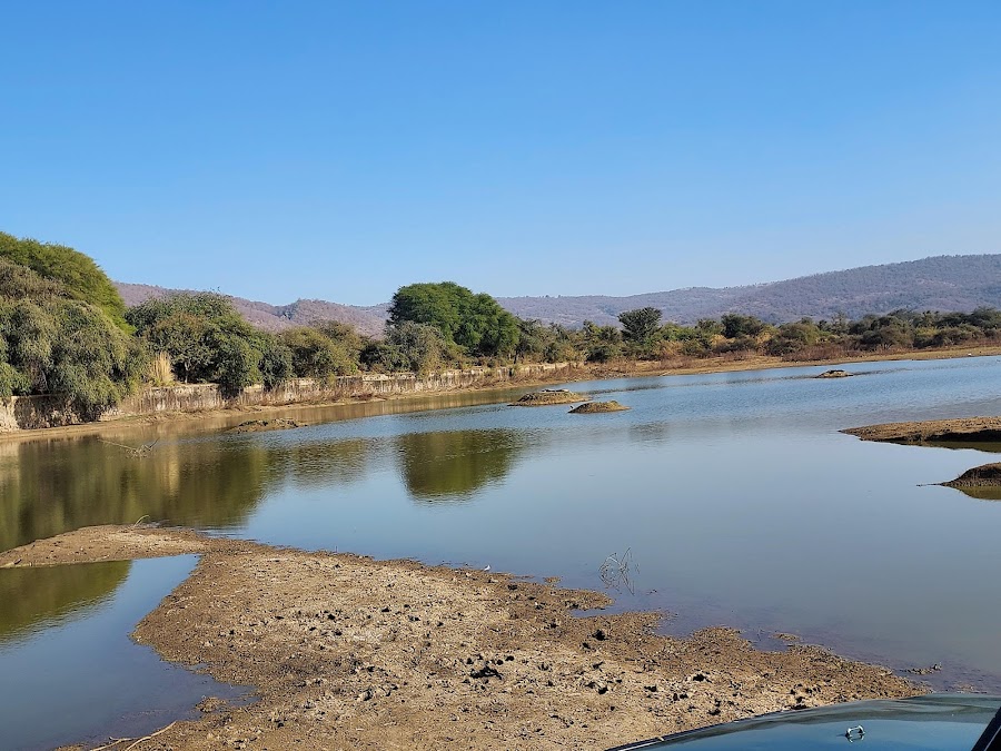 Sariska Tiger Reserve - Photo 3