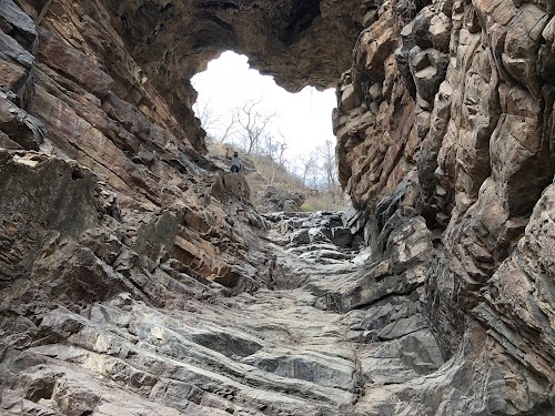 Sariska Tiger Reserve - Photo 2