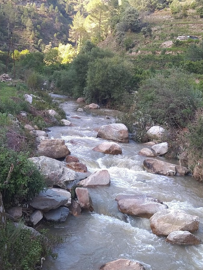 Ramgarh - Photo 7