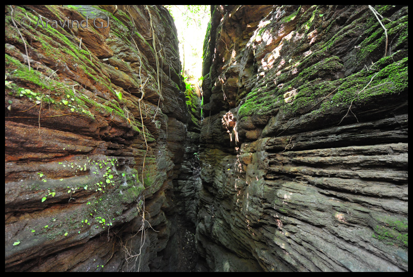 Kotumsar Cave - Photo 3
