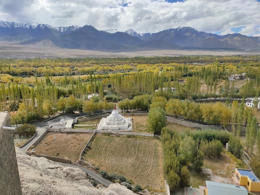 Shey Palace and Monastery - Photo 4
