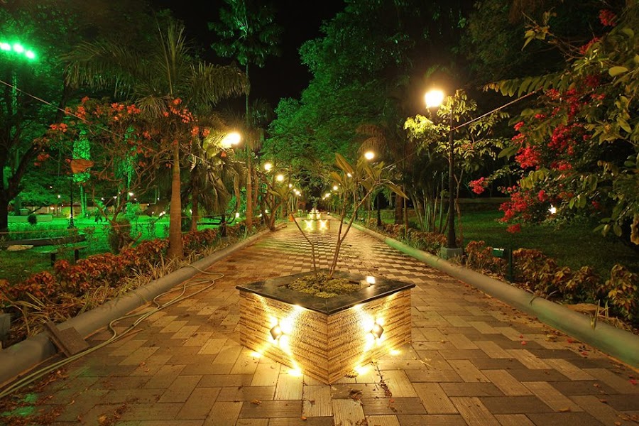 Subhash Park - Photo 2