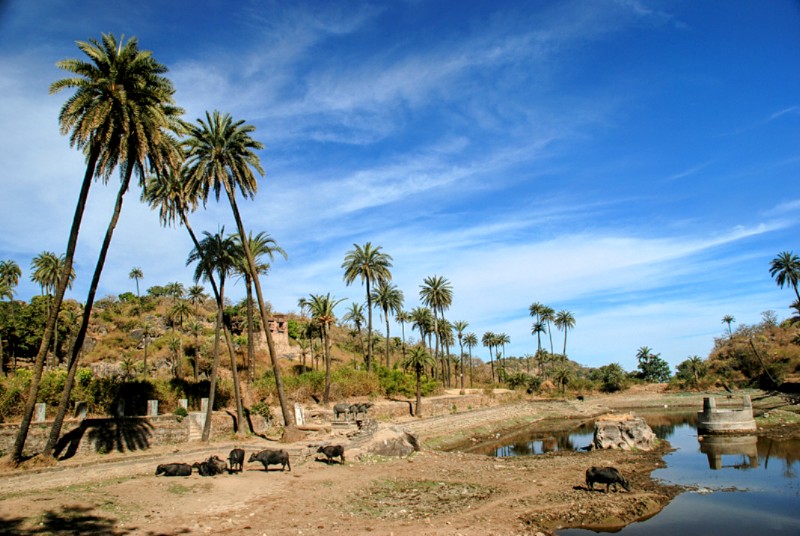 Achalgarh Fort - Photo 2