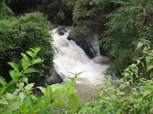 Sakleshpur - Photo 4
