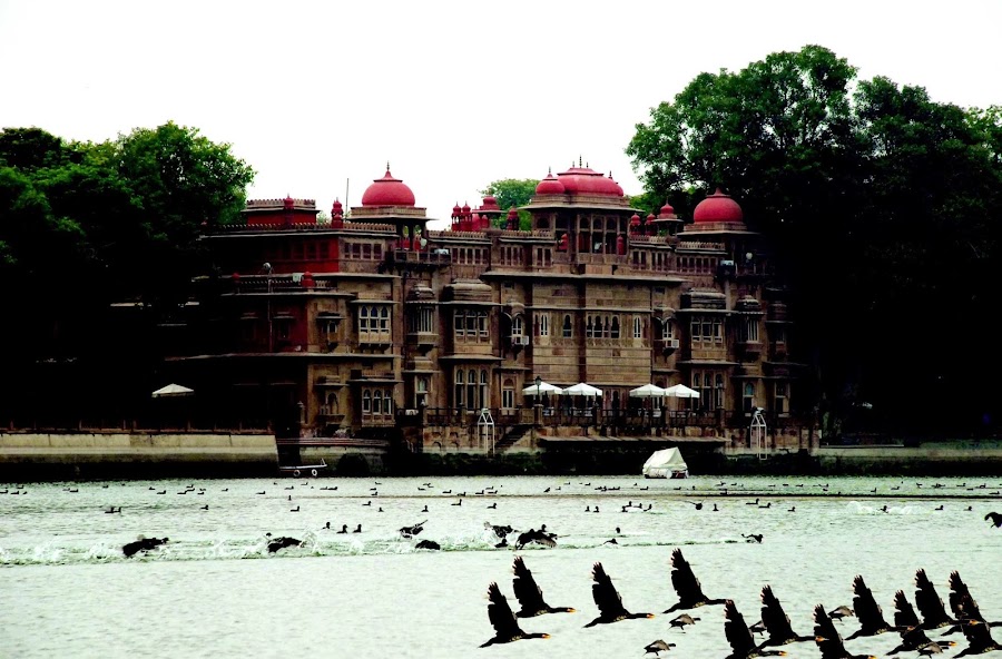Gajner Palace - Photo 4