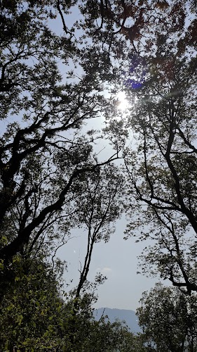 Sattal Water Fall - Photo 6
