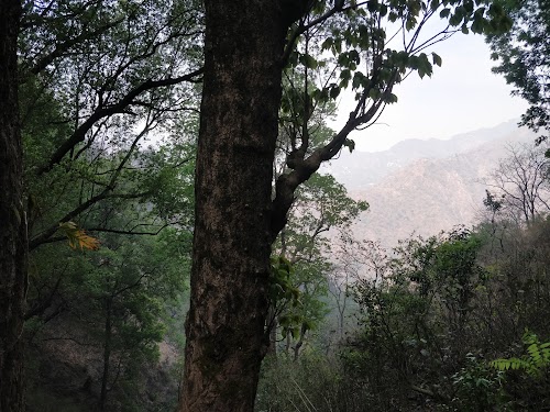 Sattal Water Fall - Photo 5