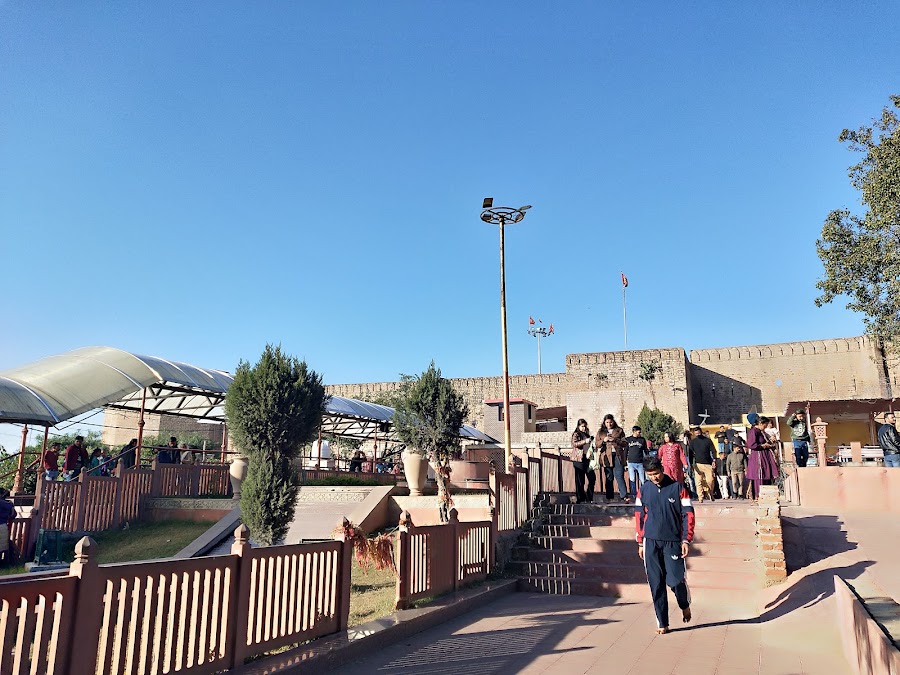 Bawey Wali Mata Temple - Photo 4