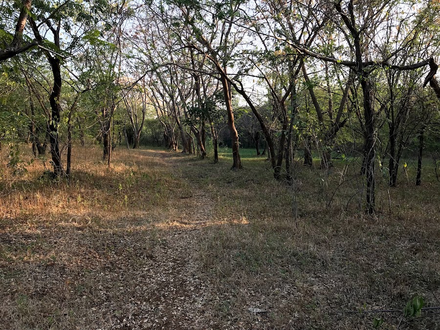 Siddheshwar Van Vihar - Photo 2