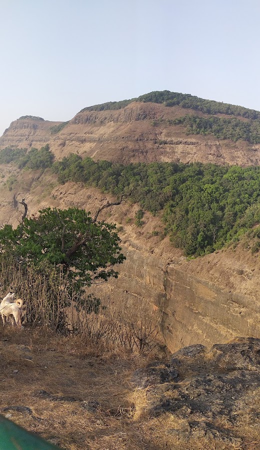 Heart Point - Photo 2