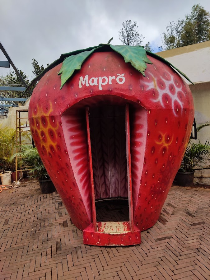 Mapro Garden - Photo 3