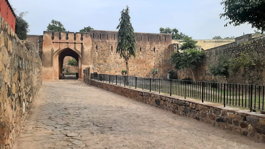 Firoz Shah Palace - Photo 4