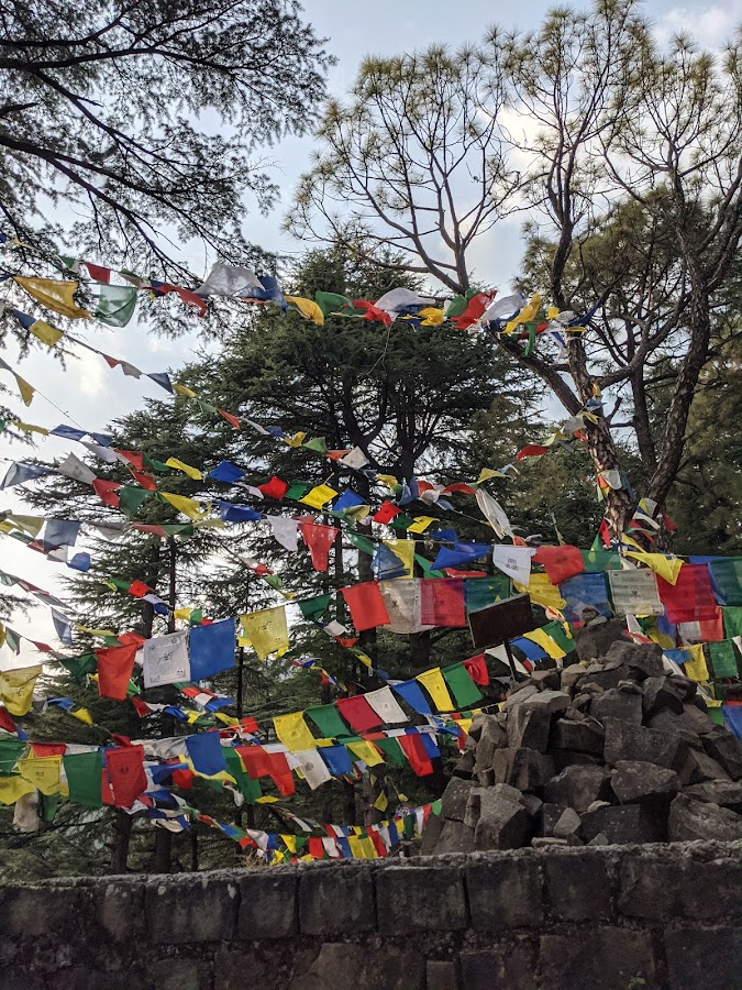 Dharamkot - Photo 4