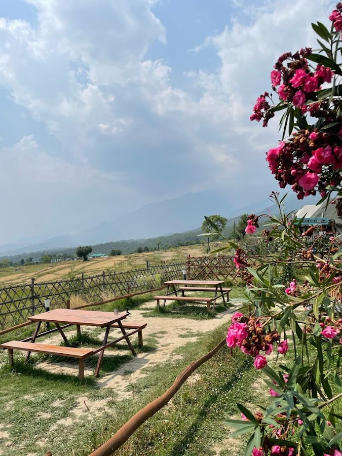 Dharamkot - Photo 3