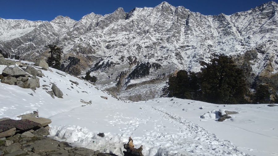 Laka Glacier - Photo 2