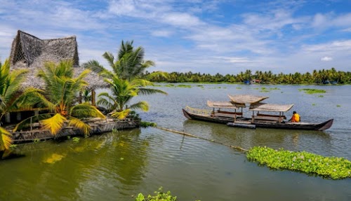 Alleppey - Photo 3