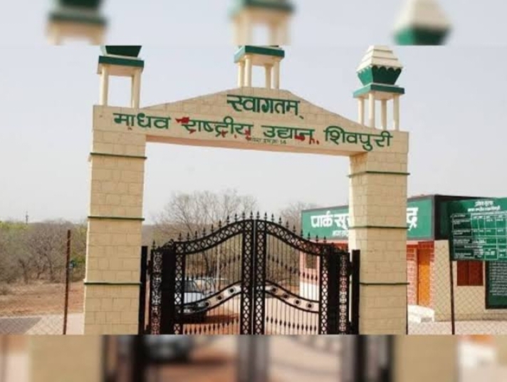 Madhav National Park - Photo 2
