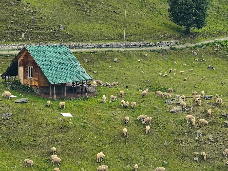Sonamarg - Photo 4