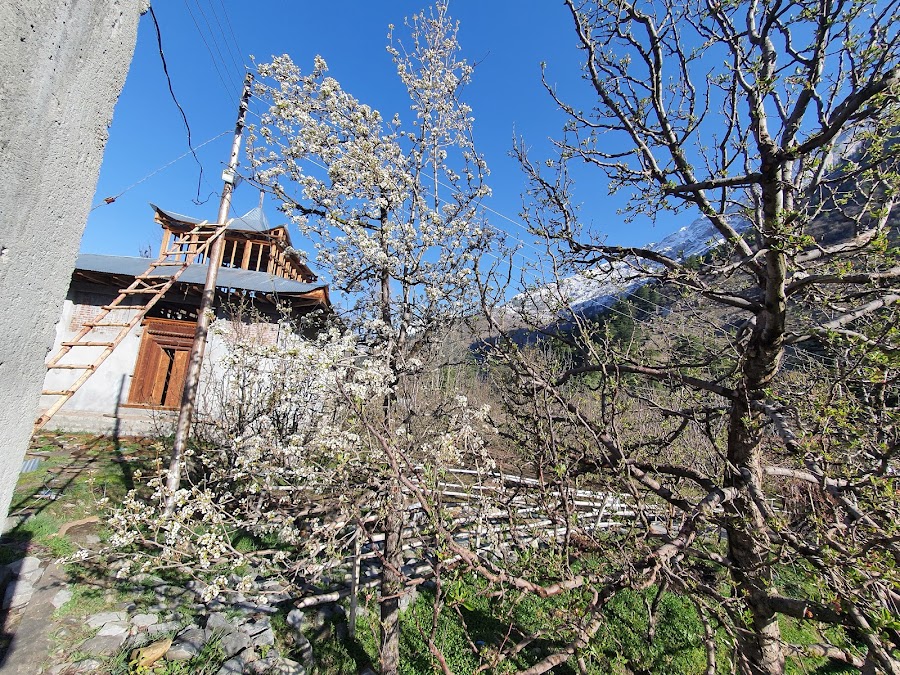 Batseri Village - Photo 2
