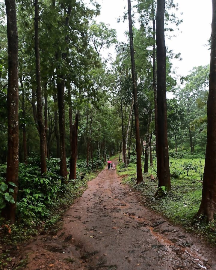 Hebbe Falls - Photo 3