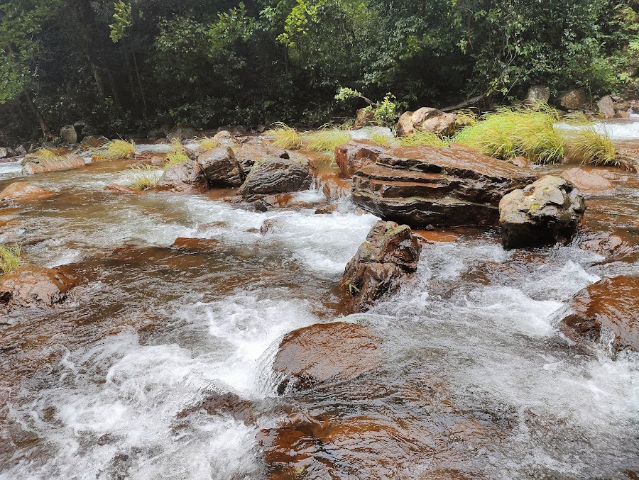 Hebbe Falls - Photo 2