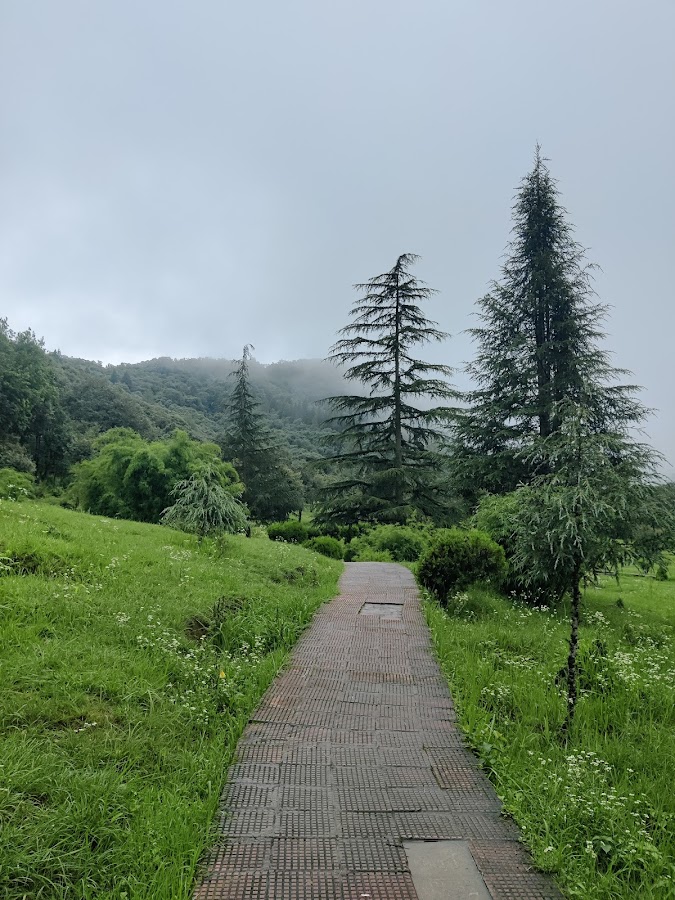 The Khirsu Park - Photo 6