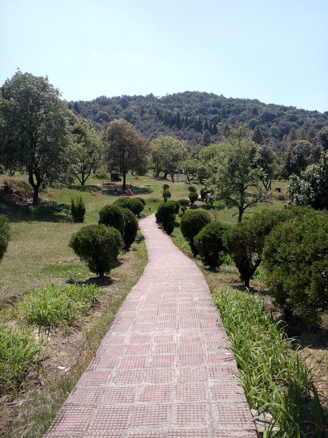 The Khirsu Park - Photo 2