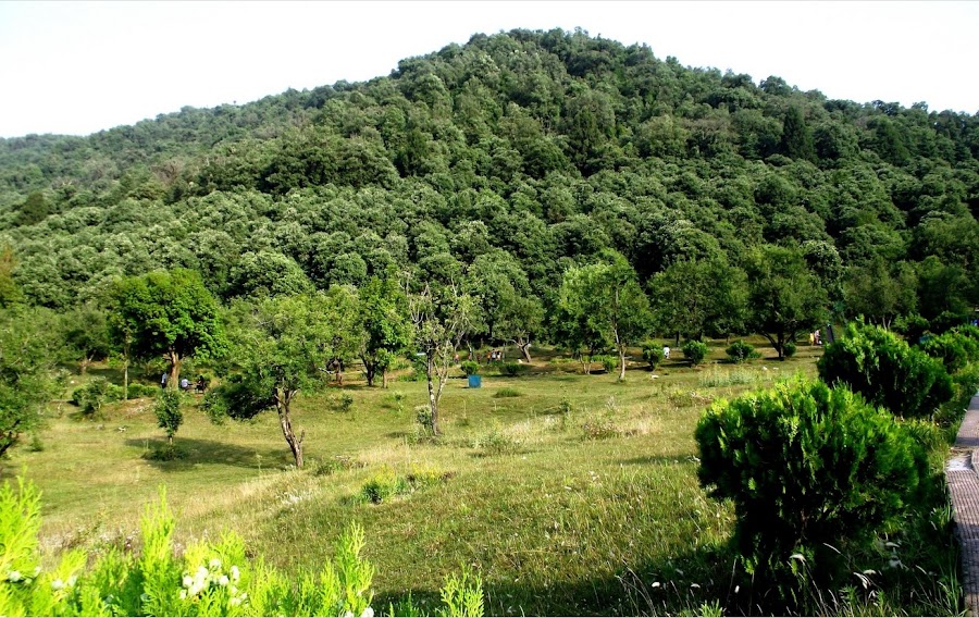 The Khirsu Park - Photo 3