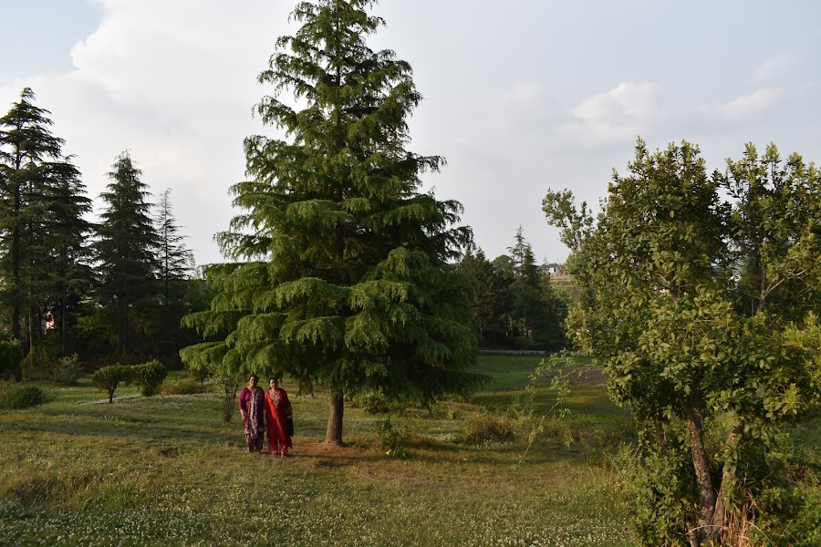 The Khirsu Park - Photo 4