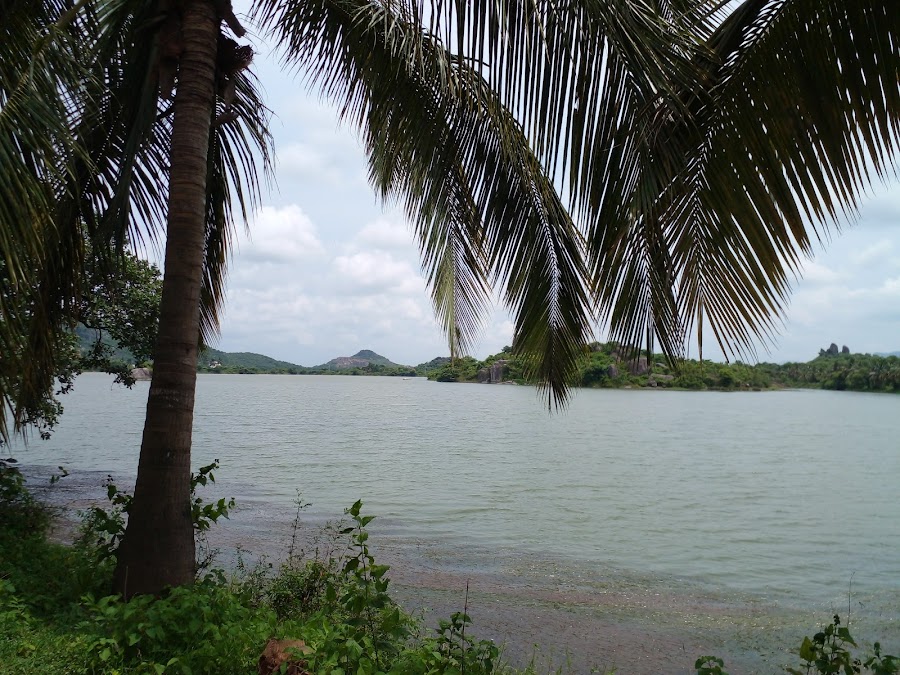 Bhagabanpur Reservoir - Photo 2