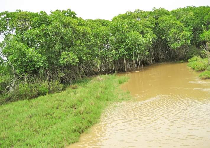 Bhitarkanika National Park - Photo 2