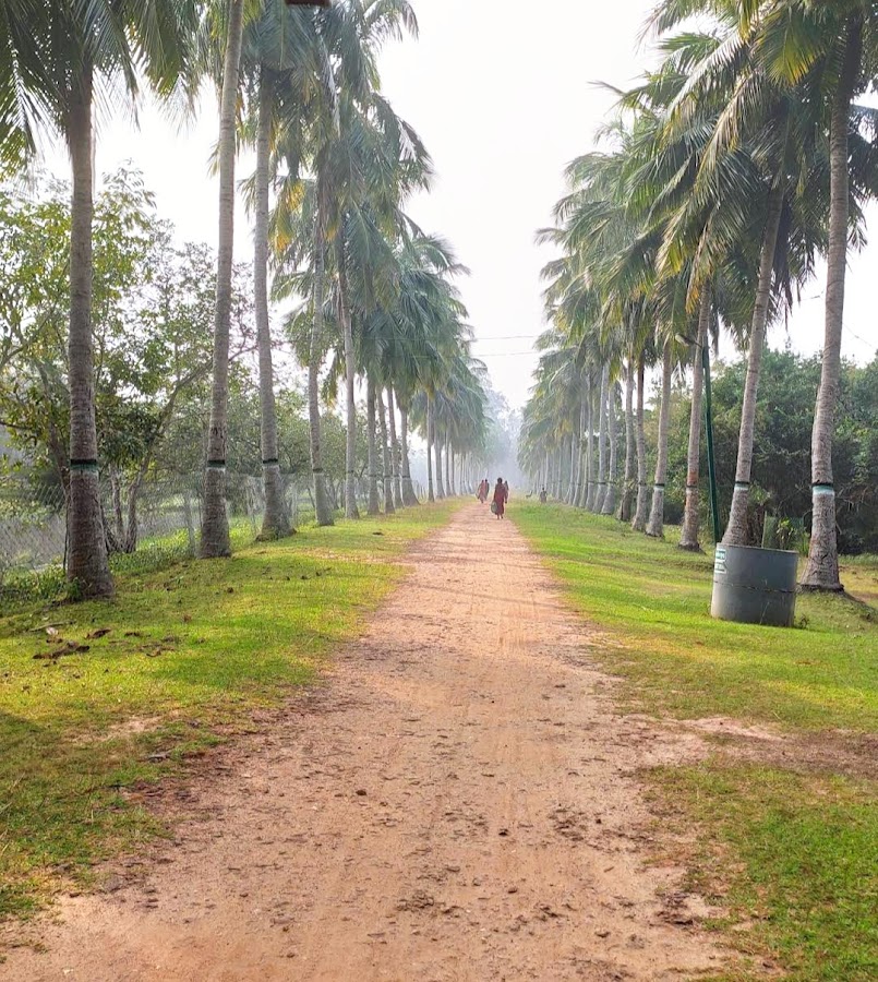 Bhitarkanika National Park - Photo 3