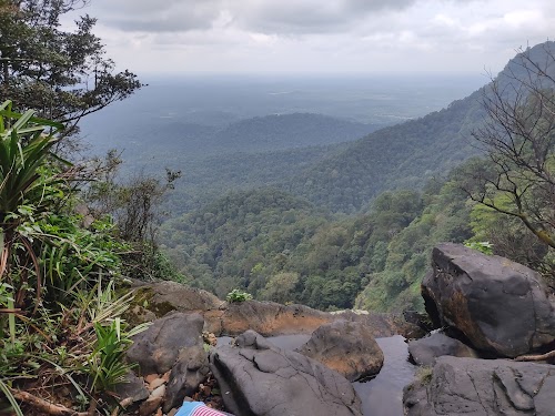 Onake Abbi Falls - Photo 3