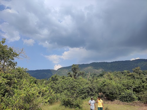 Onake Abbi Falls - Photo 4