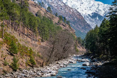 Kheerganga - Photo 2