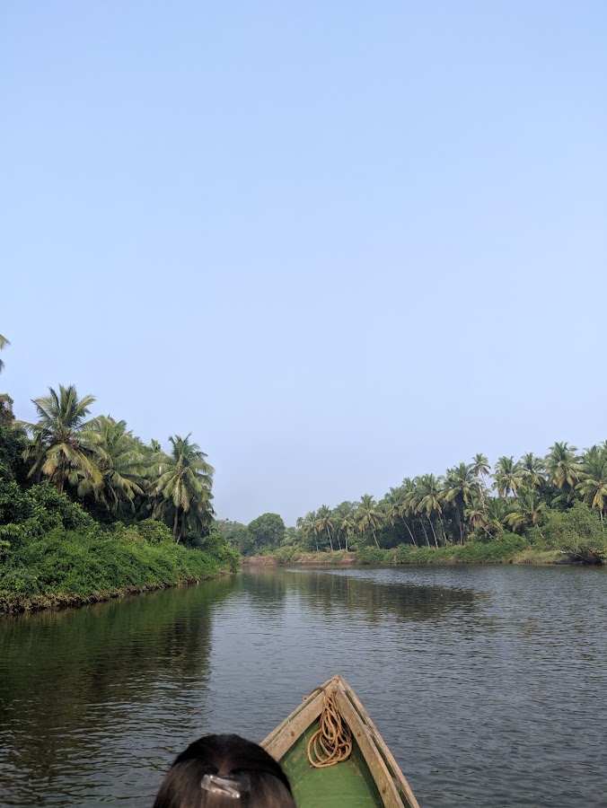 Karli River - Photo 3