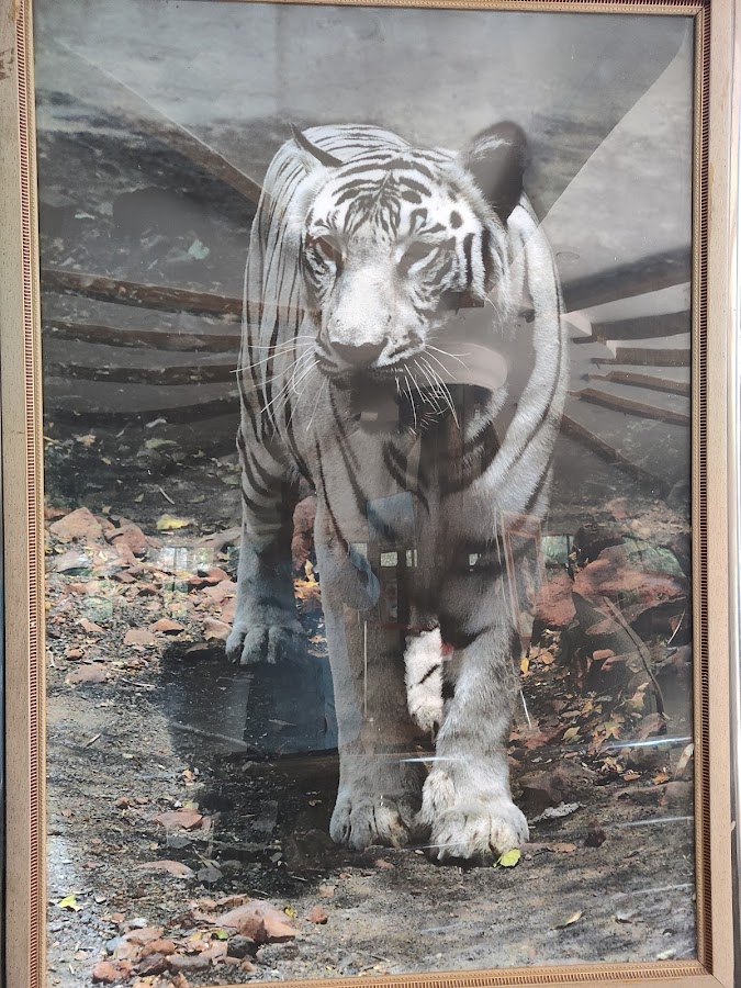 Mukundpur Zoo - Photo 3