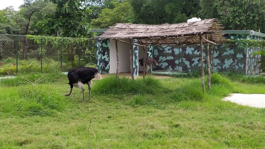 Mukundpur Zoo - Photo 4