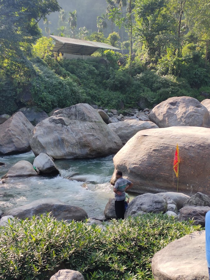 Rocky Island - Photo 9