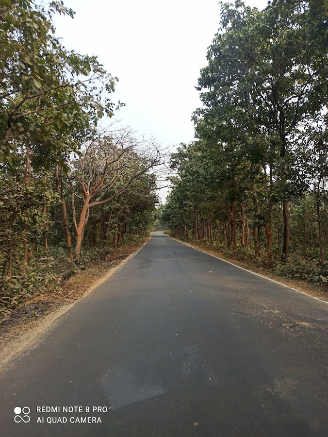 Bhimbandh Wildlife Sanctuary - Photo 2