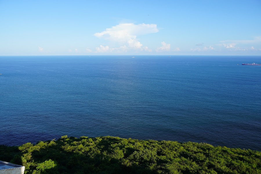 Dolphin's Nose - Photo 4