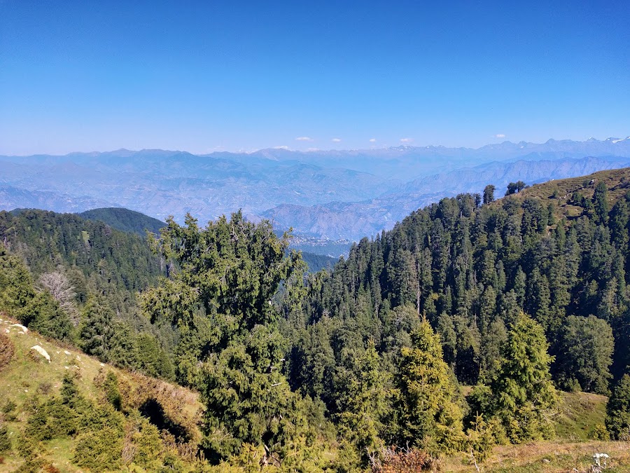 Dainkund Peak - Photo 2